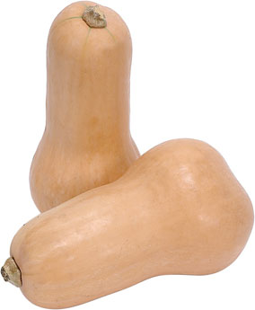 Butternut Squash