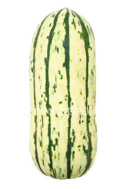 Delicata squash