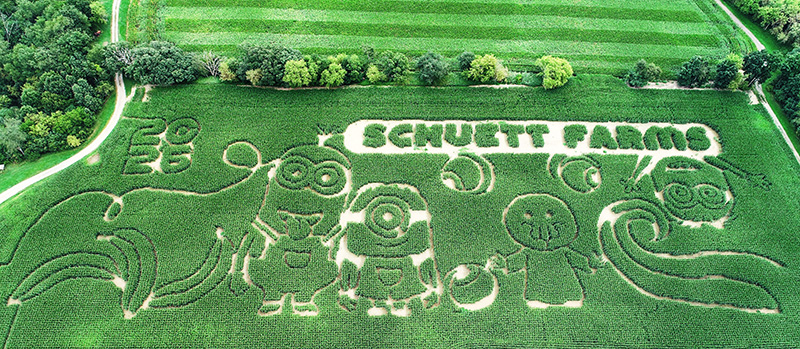 Wisconsin Corn Maze - Schuett Farms Corn Maze