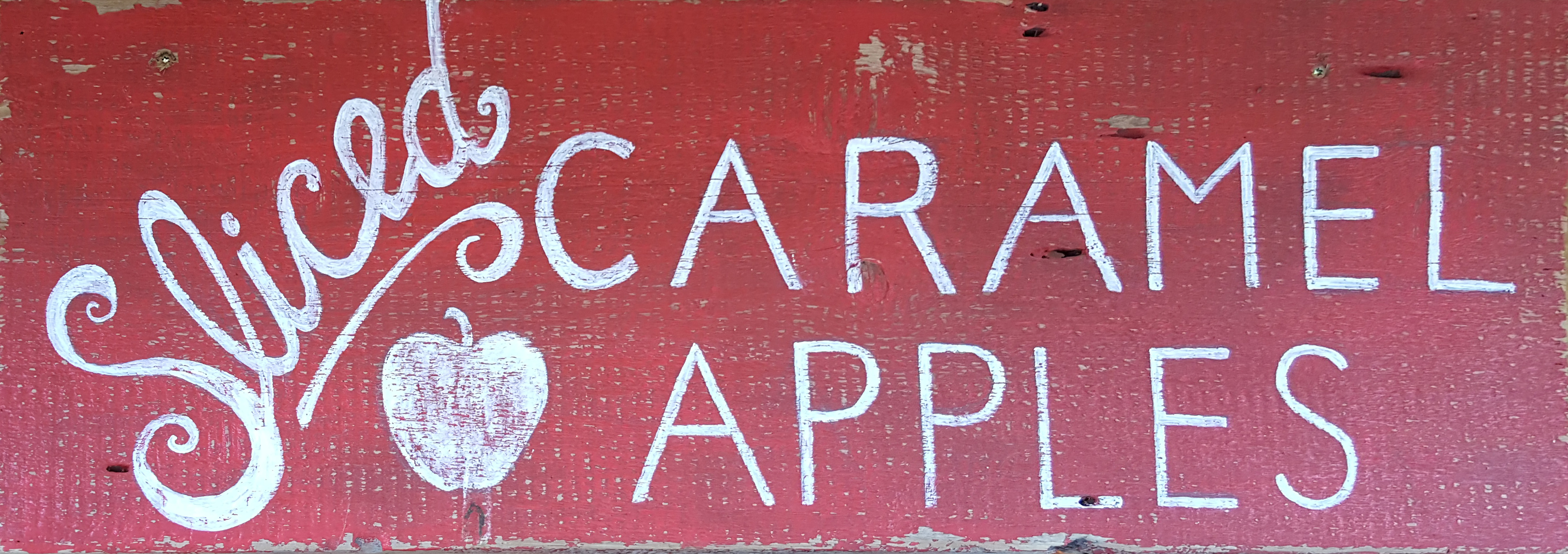  Wisconsin Carmel Apples