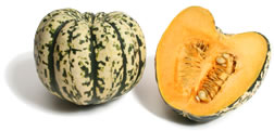 carnival squash